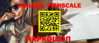 гашик Кунгур