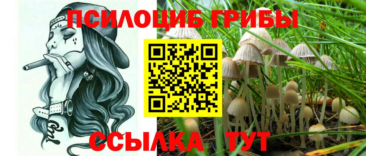 Галлюциногенные грибы GOLDEN TEACHER  Псилоцибиновые грибы Psilocybe  где продают наркотики  Вход с VPN  Карачаевск 